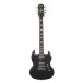 CBV8501 primary