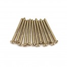Pickup Mounting Screws, Filter'Tron Pickups, Nickel (12)