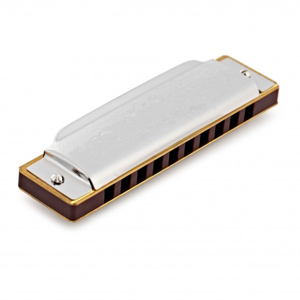 Suzuki Folkmaster Diatonic Harmonica, A
