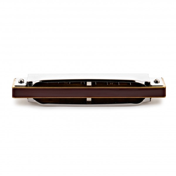 Suzuki Folkmaster Diatonic Harmonica, A