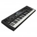 CK61 Stage Keyboard - Angled