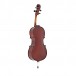 Primavera 100 Cello Outfit, Full Size, Gold Level Set up