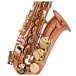 Conn-Selmer PAS380 Premiere Alto Saxophone, Gold Lacquer