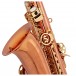 Conn-Selmer PAS380 Premiere Alto Saxophone, Gold Lacquer