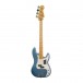 CBV7407 primary