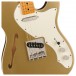 Squier FSR Classic Vibe '60s Telecaster Thinline, Aztec Gold - Pickups