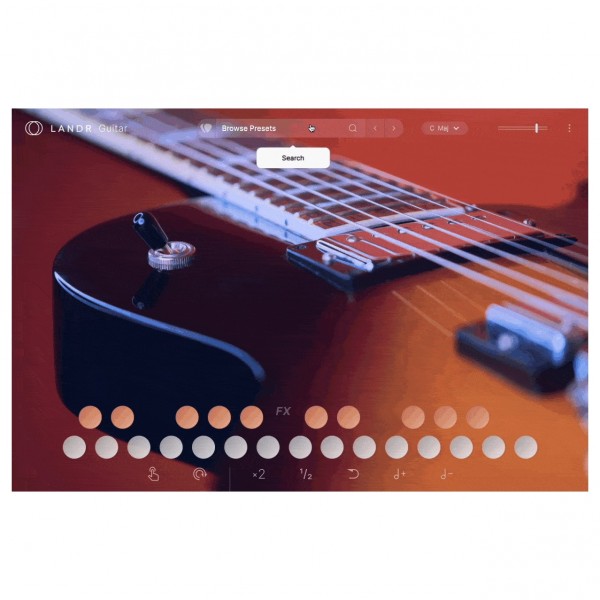 LANDR Guitar - Presets