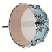 Premier Genista Maple 14