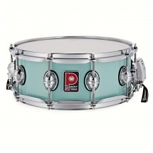 Premier Genista Maple 14
