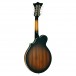 Tanglewood TWMF VSE Union Series Electric Mandolin, Vintage Sunburst back