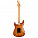 Fender Player Plus Stratocaster PF, Sienna Sunburst back