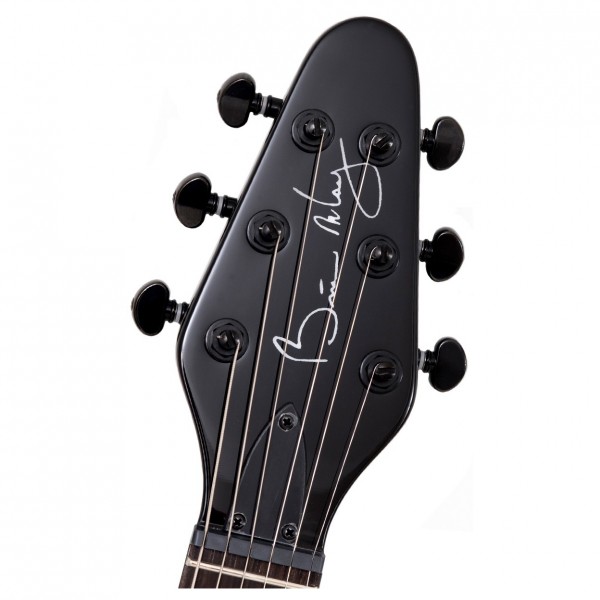 Brian May Special LE, Metal May head