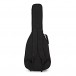 Ortega FLAMETAL-TWO Ben Woods Electro Nylon String, Red Cedar