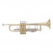 Bach Stradivarius 18037 Trumpet, Clear Lacquer