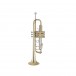 Bach Stradivarius Trumpet - 2