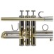Bach Stradivarius 19037 Trumpet, Clear Lacquer 6