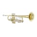 Bach Stradivarius 18043 Trumpet, Clear Lacquer 2
