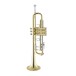 Bach Stradivarius 18043 Trumpet, Clear Lacquer 4
