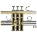 Bach Stradivarius 18043 Trumpet, Clear Lacquer 6