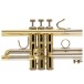 Bach Stradivarius 18037 Trumpet, Clear Lacquer 6