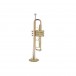 Bach Apollo 17043GYR Trumpet - 2