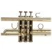 Bach Apollo 17043GYR Trumpet - 3