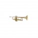 Bach Apollo 17043GYR Trumpet - 4