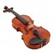 Stentor Amati Model Violin, Full Size, Instrument Only