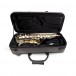 Gator GL-ALTOSAX-R23 Adagio Series EPS Polyfoam Case for Eb Alto Sax - Open, Full