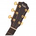 Taylor 214ce-K DLX Grand Auditorium Electro Acoustic, Koa head