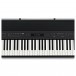 Roland FP-90X Digital Piano, Black