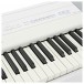 Yamaha P515 Digital Piano, White close angle