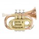 Roy Benson PT101G Pocket Trumpet, Gold Brass Bell Main