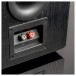 SVS Prime Pinnacle Floorstanding Speakers, Gloss Black Lifestyle View