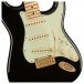 Fender Limited Edition Player Stratocaster, Black with Gold Hardware hardware