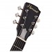 Hartwood Renaissance Electro-Resonator, Patina