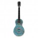 Hartwood Renaissance Electro-Resonator, Patina