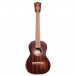 Martin T1 Streetmaster Tenor Ukulele upright front-facing 