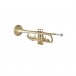 Bach Stradivarius Trumpet - 4