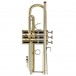Bach Stradivarius 190M37X - 3