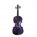 Stentor Violin - 1