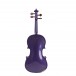  Stentor Violin - 2