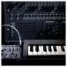 Arp 2600 FS Lifestyle 4