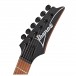 Ibanez RG421HPAM, Antique Brown Stained Low Gloss