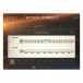 Komplete 14 Ultimate, Boxed - Action Strings 2