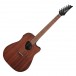 Ibanez Altstar Electro-Acoustic, Open Pore Natural