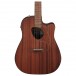 Ibanez Altstar Electro-Acoustic, Open Pore Natural - Body Front