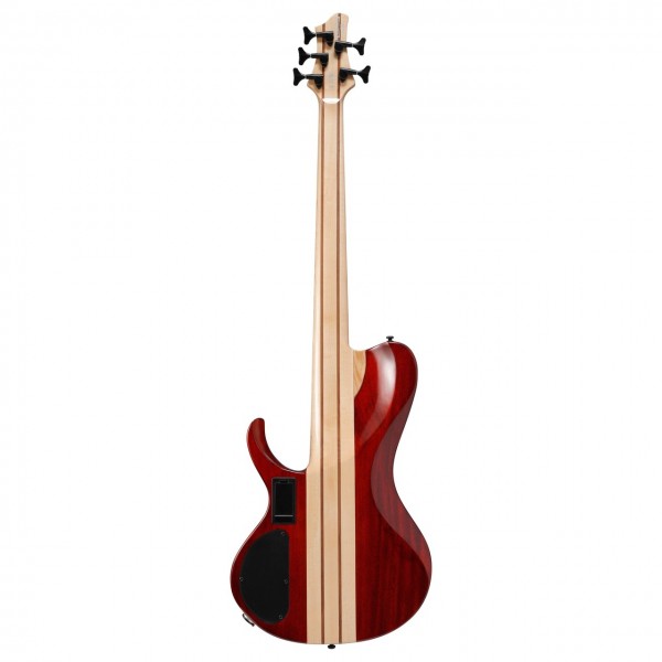 Ibanez BTB 5 String Bass, Weathered Black Low Gloss - Back