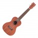 Cordoba Concert Ukulele Player Pack, Mahogany