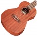 Cordoba Concert Ukulele Player Pack, Mahogany - Body